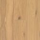 Robbins ArmorWood Spring Shade Oak Hardwood, , large