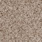 Anderson Tuftex Sumptuous II Carpet in Toasted Grain, , large