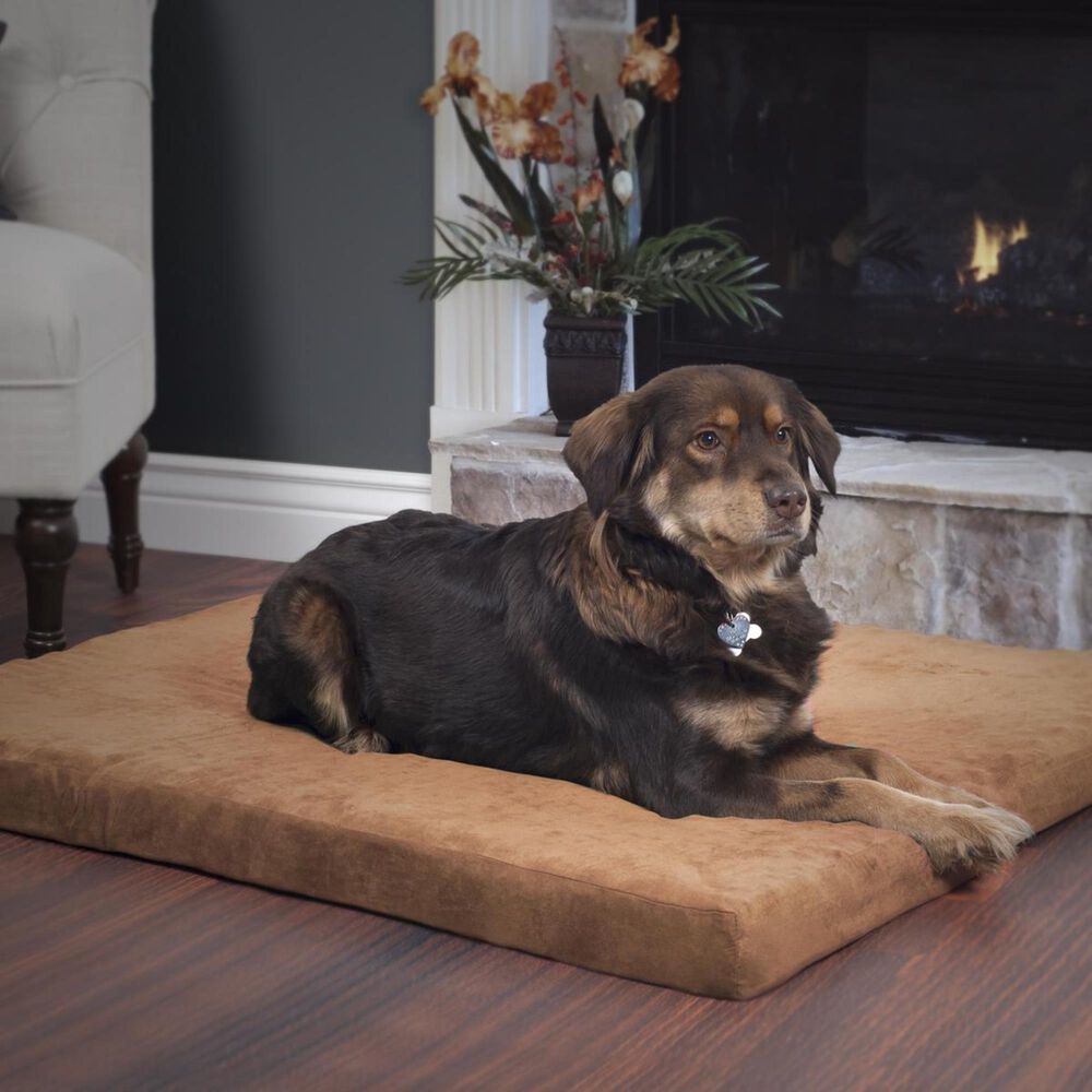 Timberlake PETMAKER 3" Foam Pet Bed in Clay, , large
