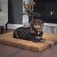 Timberlake PETMAKER 3" Foam Pet Bed in Clay, , large