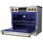 Thor Kitchen Gordon Ramsay 6.0 Cu. Ft. Professional Induction Range with Bronze Color Kit Assembly in Stainless Steel, , large