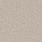 Dream Weaver Cape Cod Carpet in Parchment, , large