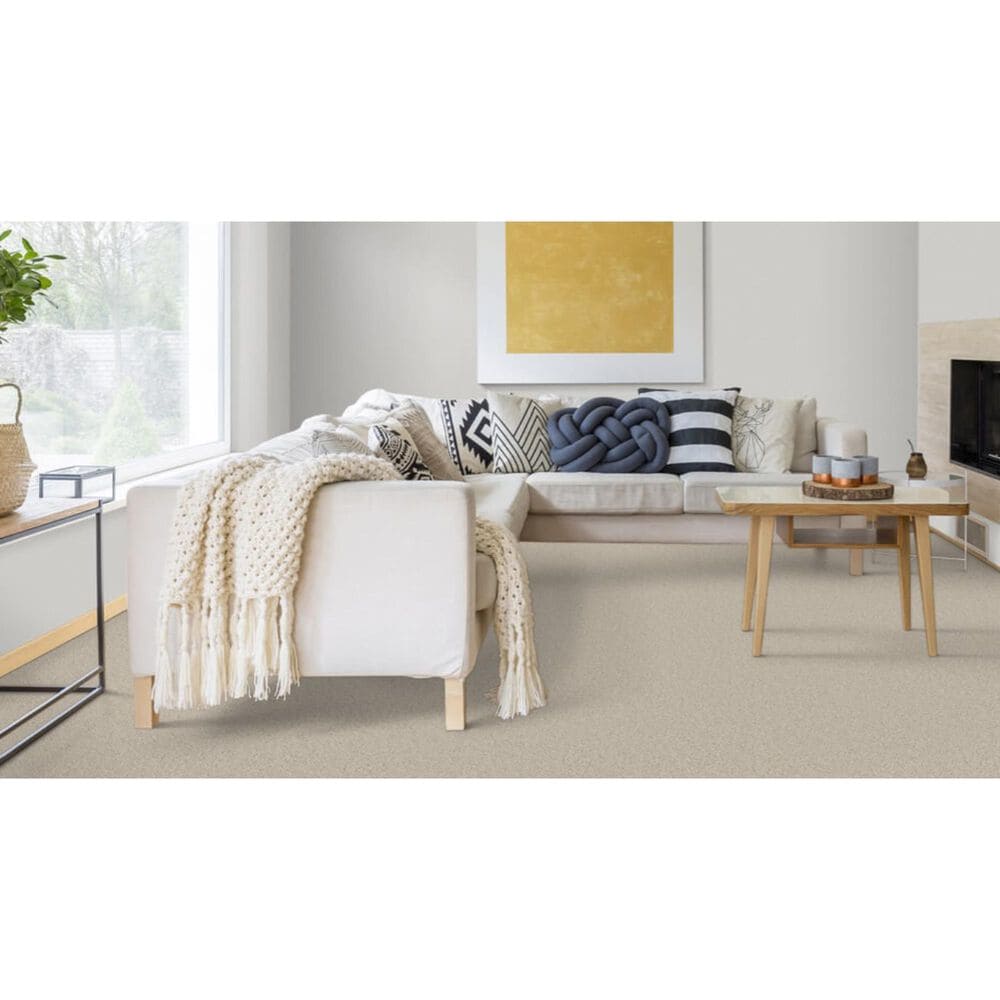 Dixie Home Devotion Carpet in Lace, , large