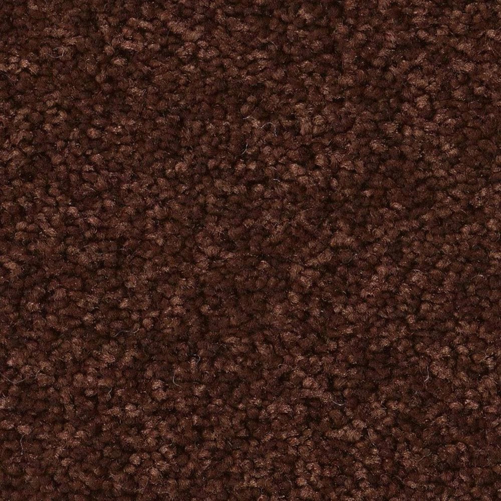 Anderson Tuftex Elegant Beauty Carpet in Cinnabar, , large