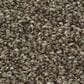 Shaw Just A Hint II Carpet in Mink, , large
