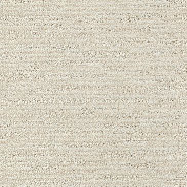 Dixie Home Quietly Carpet in Centered, , large