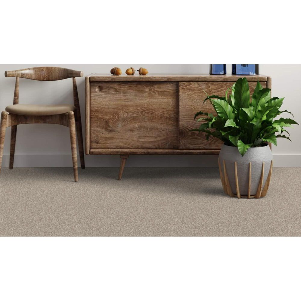 Dixie Home Bella Carpet in Shar-Pei, , large
