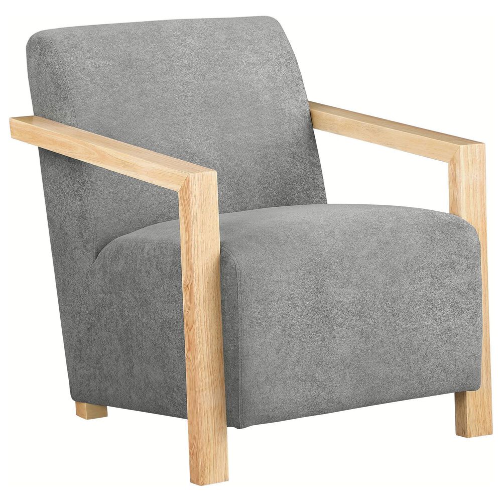 Coaster Diego Accent Arm Chair in Grey, , large