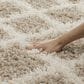 Safavieh Dallas Shag SGD258D-210 2"3" x 10" Beige/Ivory Runner, , large