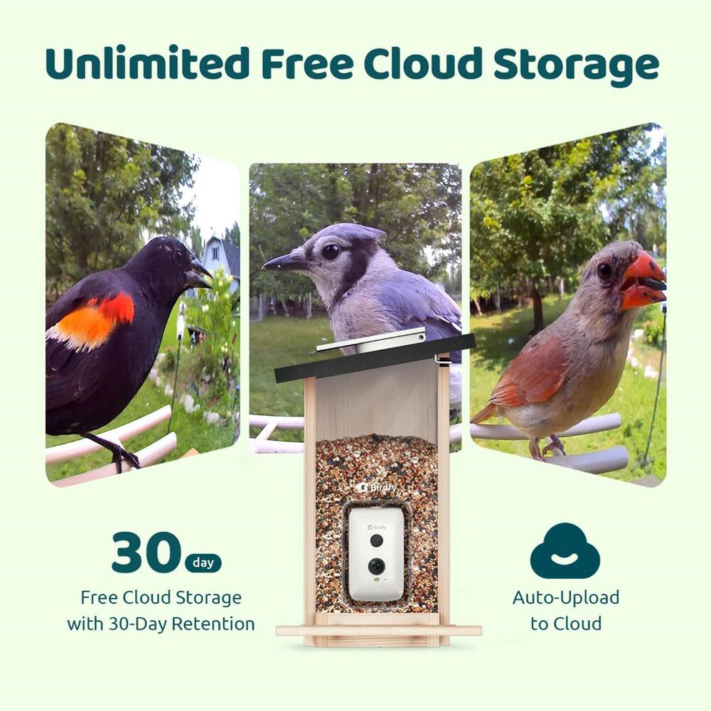 Birdfy Bird Feeder Ebony with Smart Camera and Solar Panel in Brown and Black, , large