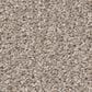 Shaw Bold Move Plus Carpet in Linen, , large