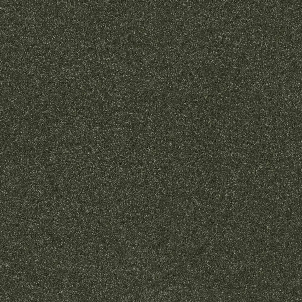 Shaw Hard At Play II Carpet in Rerooted Nature, , large