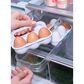 Joseph Joseph FridgeStore Egg Storage Caddy in Clear, , large
