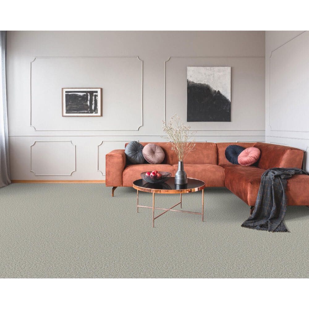 Dixie Home Riverbend Carpet in Quartz, , large