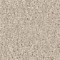 Shaw Las Cruces Carpet in Fresh Perspective, , large