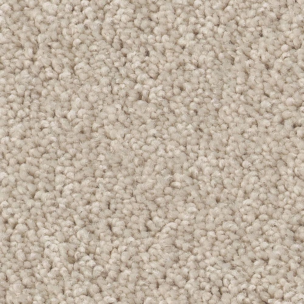 Shaw Las Cruces Carpet in Fresh Perspective, , large