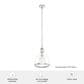Hunter Van Nuys 10" 1-Light Pendant in Brushed Nickel, , large