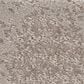 Anderson Tuftex Caress  Artistic Presence Carpet in Stucco, , large