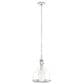 Hunter Van Nuys 10" 1-Light Pendant in Brushed Nickel, , large
