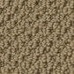 Anderson Tuftex Gracious Carpet in Warmth, , large