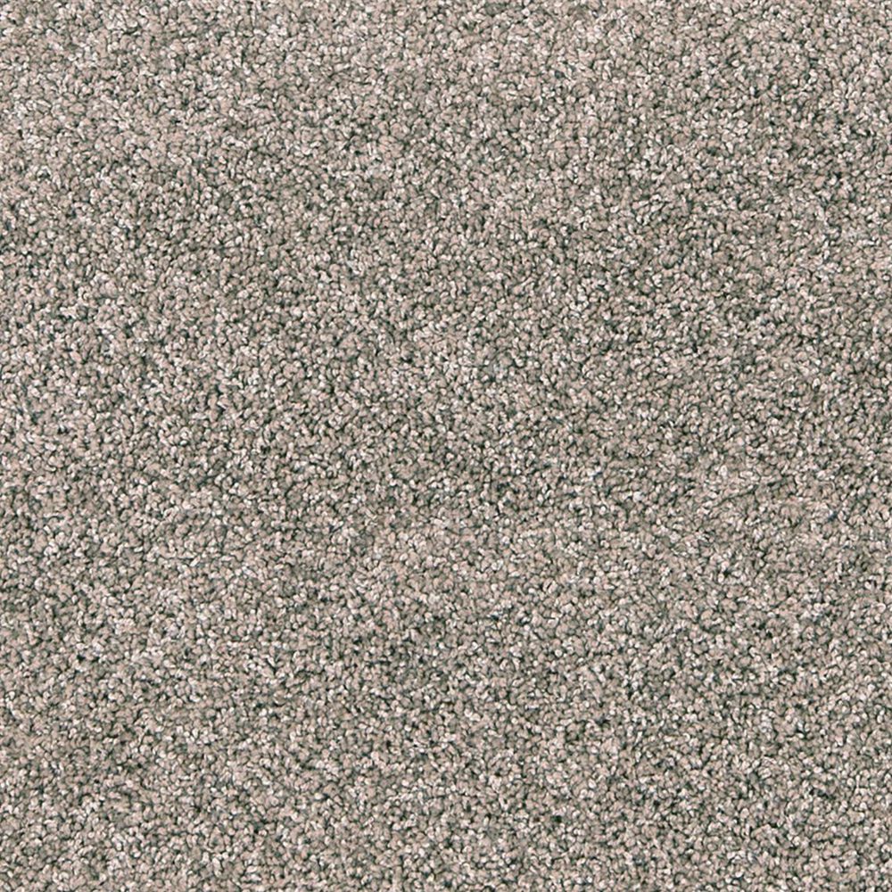 Mohawk Paw Pathway Carpet in Camel, , large
