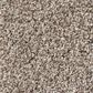 Shaw Foundations Take The Floor Tonal I Carpet in Triumph, , large