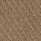Shaw Simply Classic Carpet in Worn Path, , large