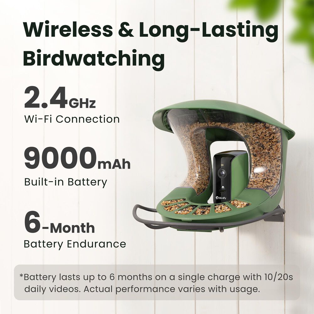 Birdfy Bird Feeder 2 with Smart Camera and Solar Panel in Green, , large
