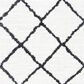 Safavieh August Shag AUG502A 2"2" x 9" Ivory and Black Runner, , large