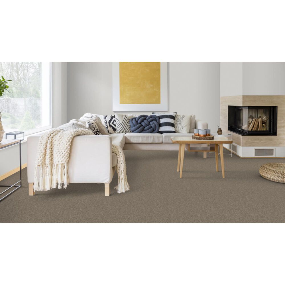 Dixie Home Bella Carpet in Pinscher, , large