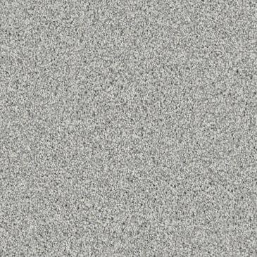 Dixie Home Devotion Carpet in Cinderblock, , large