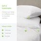 Cariloha Aloha Soft 4-Piece Queen Sheet Set in White, , large