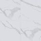 MS International Eden Statuary 24" x 24" Polished Porcelain Tile, , large
