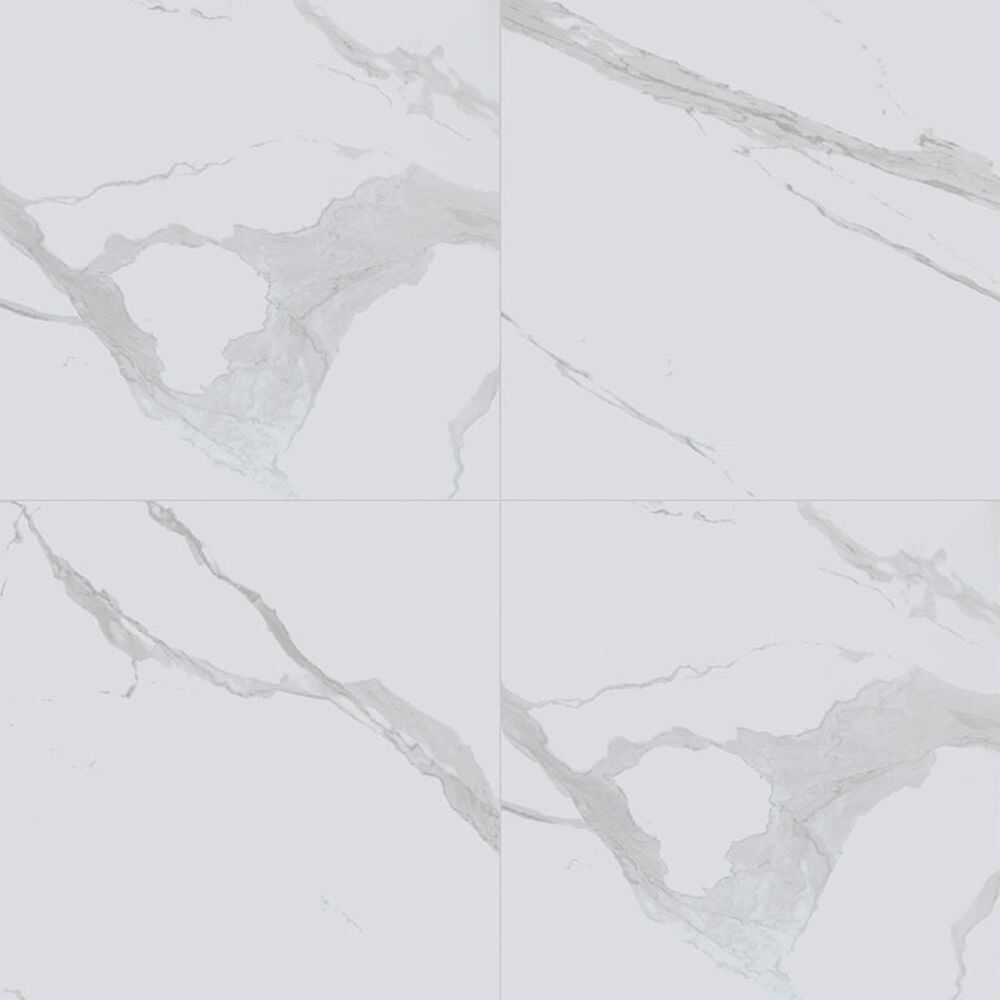 MS International Eden Statuary 24" x 24" Polished Porcelain Tile, , large