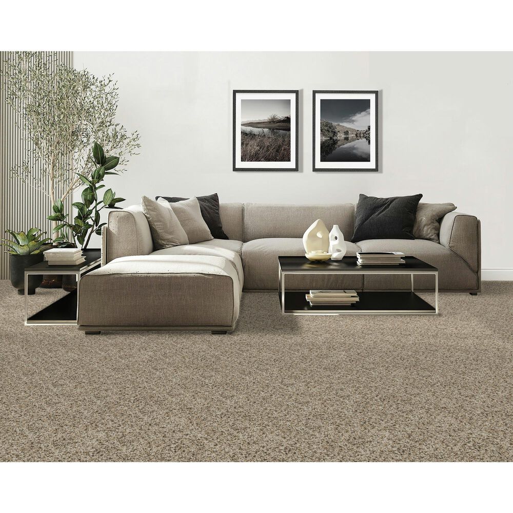Mohawk Raise The Woof I Carpet in Frosty Spice, , large
