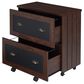 Furniture of America Phillips 2-Drawer File Cabinet in Vintage Walnut, , large