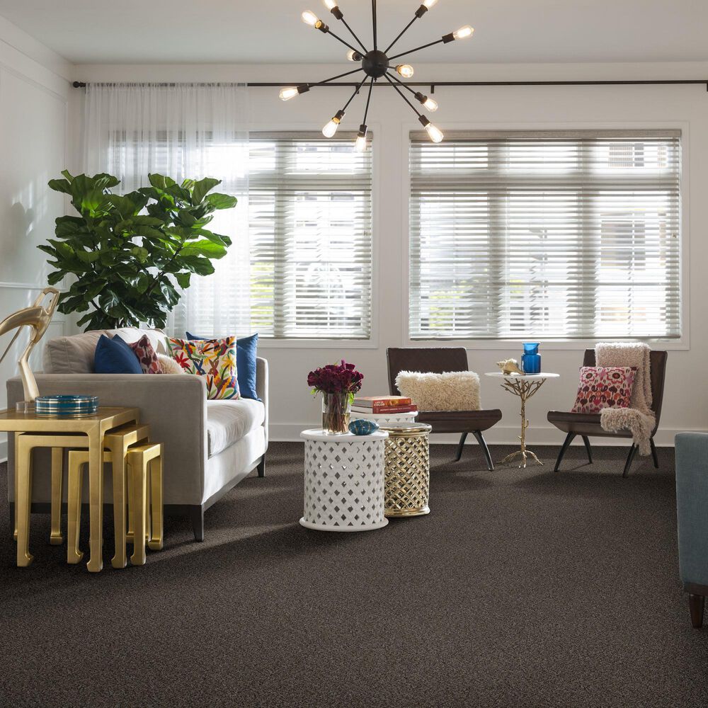 Philadelphia Mixed Essentials Carpet in Raven, , large
