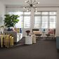 Philadelphia Mixed Essentials Carpet in Raven, , large