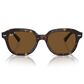 Ray-Ban Erik Sunglasses with Brown Lenses in Polished Havana, , large