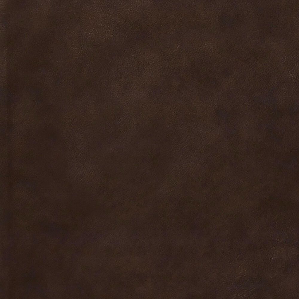 Ashley Santorine Stationary Loveseat in Dark Brown, , large