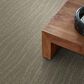 Anderson Tuftex Pose Carpet in Cumulus, , large