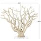 Maple and Jade 21.10" Coral Decorative Sculpture in Cream and Clear, , large