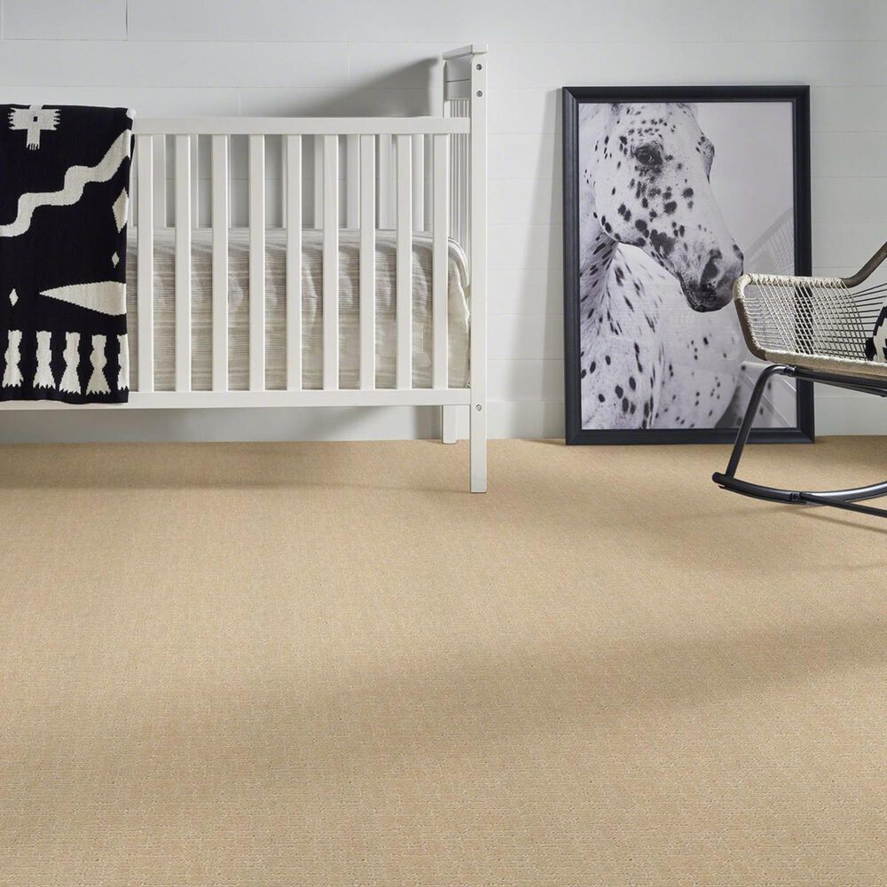 Anderson Tuftex New Tricks Carpet in Hazelnut, , large