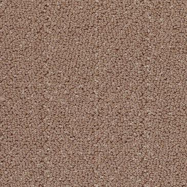 Dixie Home Village Vibe Carpet in Saddle, , large