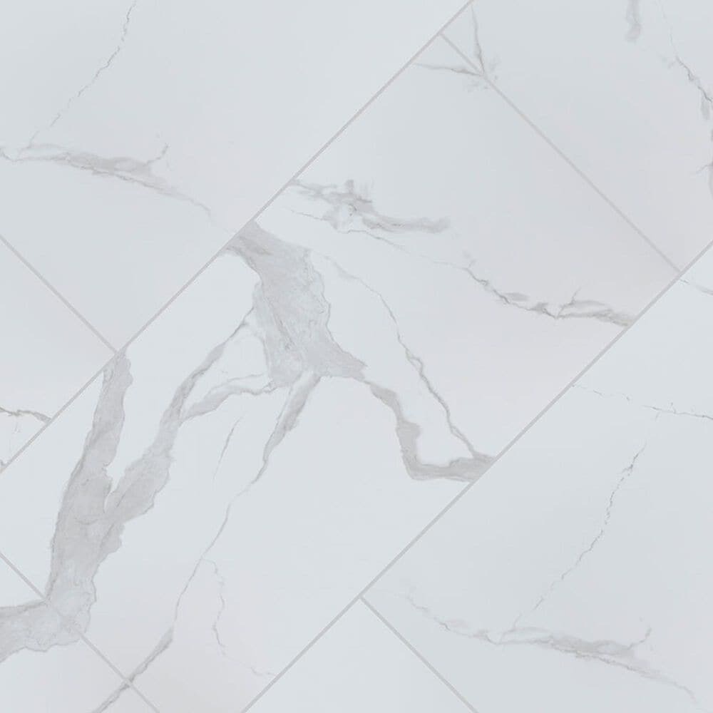 MS International Eden Statuary 12&quot; x 24&quot; Polished Porcelain Tile, , large