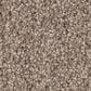Shaw Agility Carpet in Biscotti, , large