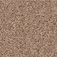 Shaw Las Cruces Carpet in Copper Moon, , large
