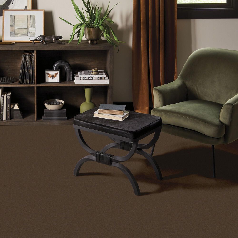 Anderson Tuftex Finery Carpet in Leather, , large