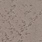 Shaw Sincere Focus Carpet in Charming Tan, , large