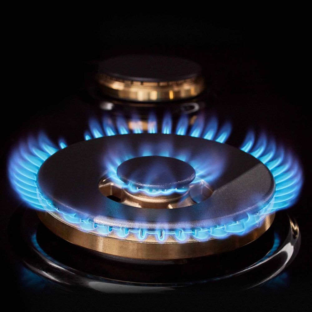 Signature Kitchen Suite 48" DualFuel Pro Range with Griddle in